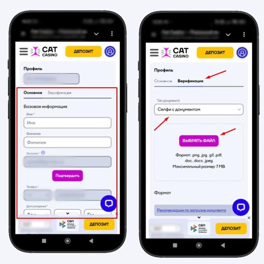 Верификация в Cat Casino
