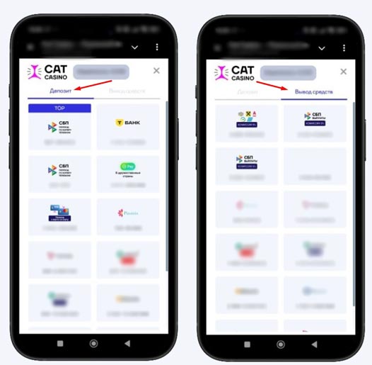 Раздел «Касса»